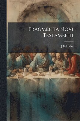 bokomslag Fragmenta Novi Testamenti