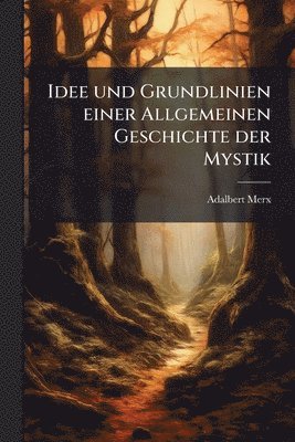 Adalbert Merx - Idee und Grundlinien einer Allgemeinen Geschichte der Mystik, Häftad