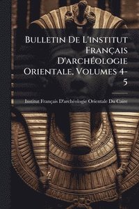 bokomslag Bulletin De L'institut Français D'archÃ(c)ologie Orientale, Volumes 4-5