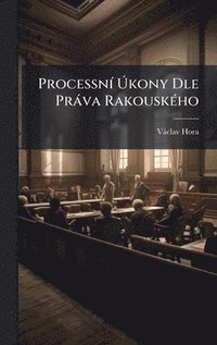 bokomslag ProcessnÃ- Ã?kony Dle Pràva RakouskÃ(c)ho