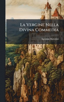 bokomslag Vergine Nella Divina Commedia