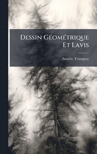 bokomslag Dessin GÃ(c)omÃ(c)trique Et Lavis