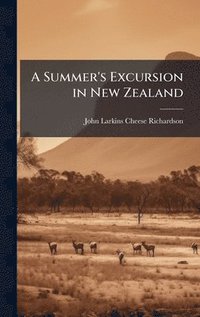 bokomslag A Summer's Excursion in New Zealand