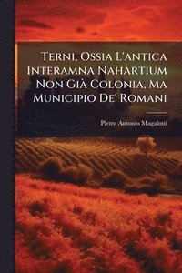bokomslag Terni, Ossia L'antica Interamna Nahartium Non GiÃ Colonia, Ma Municipio De' Romani