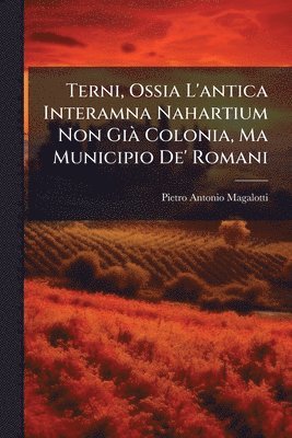 bokomslag Terni, Ossia L'antica Interamna Nahartium Non GiÃ Colonia, Ma Municipio De' Romani