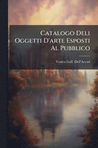 bokomslag Catalogo Deli Oggetti D'arte Esposti Al Pubblico