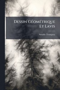 bokomslag Dessin GÃ(c)omÃ(c)trique Et Lavis