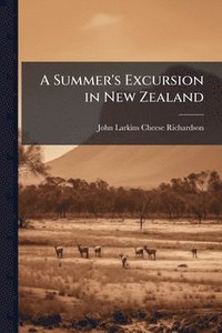 bokomslag A Summer's Excursion in New Zealand
