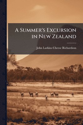 bokomslag A Summer's Excursion in New Zealand