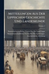 bokomslag Mitteilungen Aus Der Lippischen Geschichte Und Landeskunde