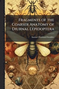 bokomslag Fragments of the Coarser Anatomy of Diurnal Lepidoptera