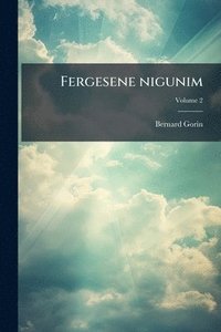bokomslag Fergesene nigunim