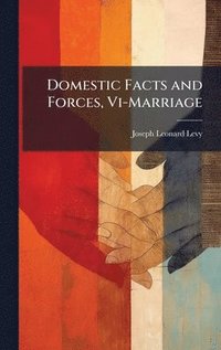 bokomslag Domestic Facts and Forces, Vi-Marriage