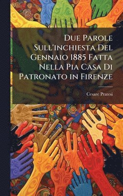 bokomslag Due Parole Sull'inchiesta Del Gennaio 1885 Fatta Nella Pia Casa Di Patronato in Firenze
