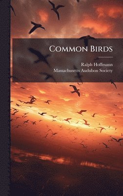 bokomslag Common Birds