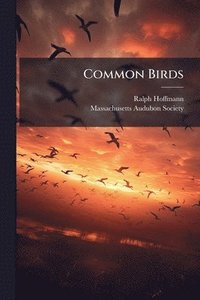 bokomslag Common Birds