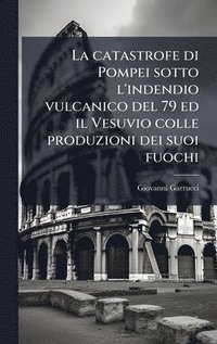 bokomslag catastrofe di Pompei sotto l'indendio vulcanico del 79 ed il Vesuvio colle produzioni dei suoi fuochi