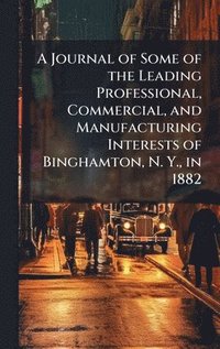 bokomslag Journal of Some of the Leading Professional, Commercial, and Manufacturing Interests of Binghamton, N. Y., in 1882