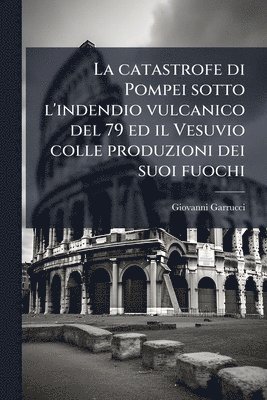 bokomslag catastrofe di Pompei sotto l'indendio vulcanico del 79 ed il Vesuvio colle produzioni dei suoi fuochi