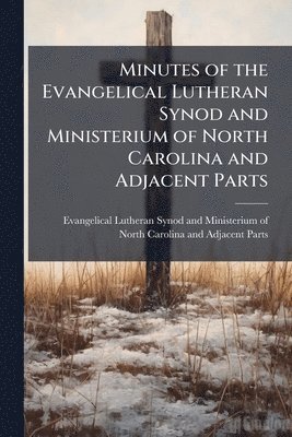bokomslag Minutes of the Evangelical Lutheran Synod and Ministerium of North Carolina and Adjacent Parts