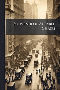 bokomslag Souvenir of Ausable Chasm