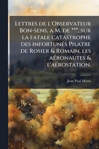 bokomslag Lettres de l'Observateur Bon-sens, a M. de ***, sur la fatale catastrophe des infortunÃ(c)s Pilatre de Rosier & Romain, les aÃ(c)ronautes & l'aÃ(c)ros