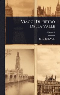bokomslag Viaggi Di Pietro Della Valle