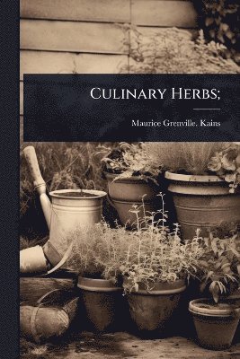 bokomslag Culinary Herbs;