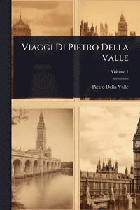 bokomslag Viaggi Di Pietro Della Valle
