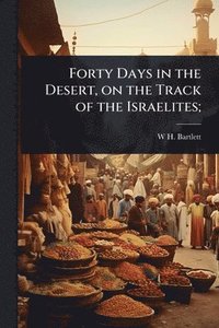 bokomslag Forty Days in the Desert, on the Track of the Israelites;
