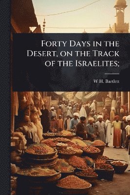 W H 1809-1854 Bartlett, W. H. 1809-1854 Bartlett, W H. 1809-1854 Bartlett, W H Bartlett - Forty Days in the Desert, on the Track of the Israelites;, Häftad
