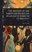 bokomslag Destiny of the American Negro; or, As an Eagle Stirreth up her Nest