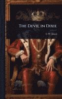 bokomslag Devil in Dixie
