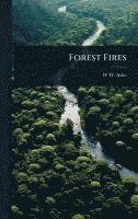 bokomslag Forest Fires