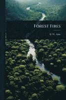 bokomslag Forest Fires