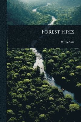 Forest Fires
