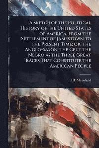 bokomslag Sketch of the Political History of the United States of America, From the Settlement of Jamestown to the Present Time; or, the Anglo-Saxon, the Celt, the Negro as the Three Great Races That Constit...