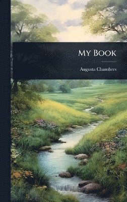 bokomslag My Book