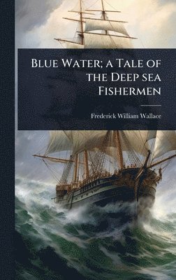 bokomslag Blue Water; a Tale of the Deep sea Fishermen