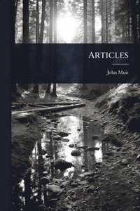 bokomslag Articles