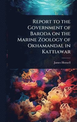 bokomslag Report to the Government of Baroda on the Marine Zoology of Okhamandal in Kattiawar