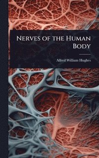 bokomslag Nerves of the Human Body