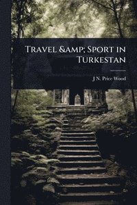 bokomslag Travel & Sport in Turkestan