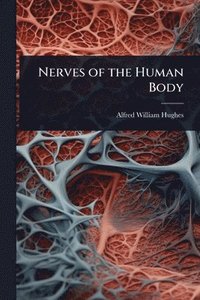 bokomslag Nerves of the Human Body