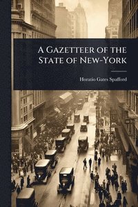 bokomslag A Gazetteer of the State of New-York