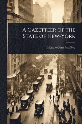 bokomslag A Gazetteer of the State of New-York