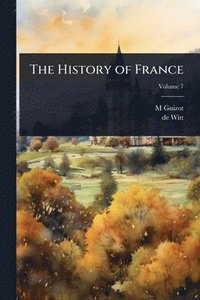 bokomslag History of France