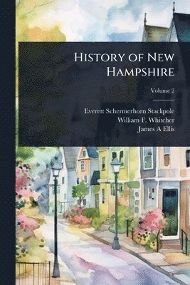 bokomslag History of New Hampshire