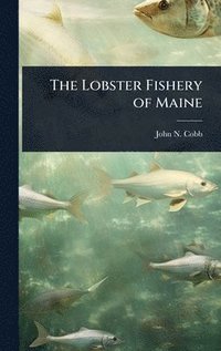 bokomslag Lobster Fishery of Maine