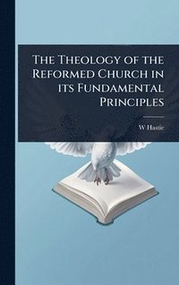 bokomslag Theology of the Reformed Church in its Fundamental Principles